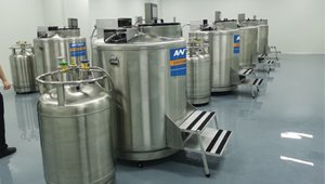 Antech Cryogenic freezer (liquid nitrogen container) for biobank vapor storage 2ml vials storage quantity is from 10K to 128K. 