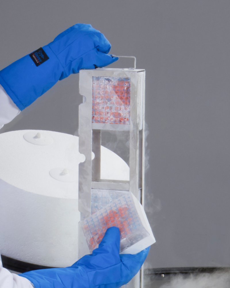 Cryogenic Freezer, LN2 Wide Neck